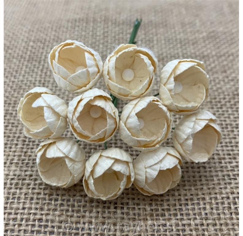 Paper Roses