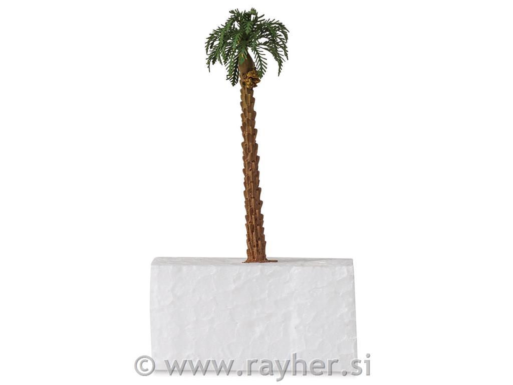 Model palma 65 mm t.zelena