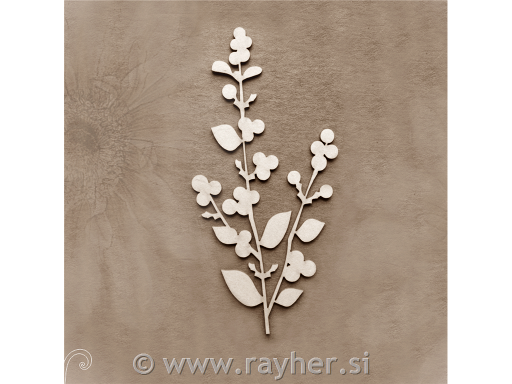 IZREZ IZ LEPENKE, VEJICA Z LISTI IN PLODOVI