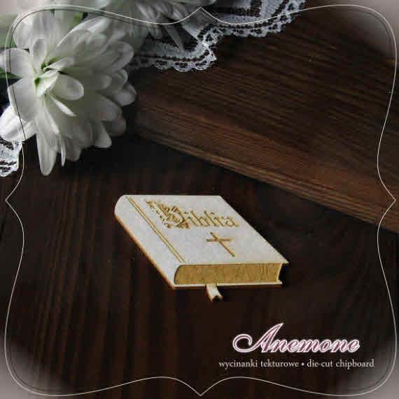 IZREZ IZ LEPENKE, SVETO PISMO