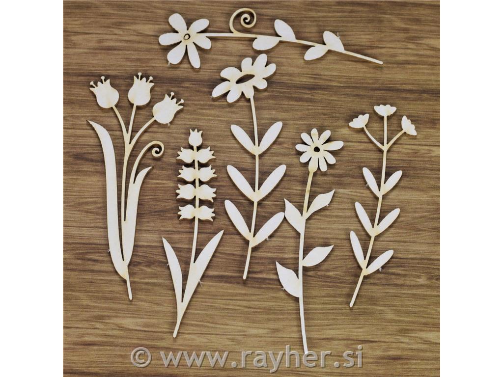 Izrez iz lepenke, Travniško cvetje, set6