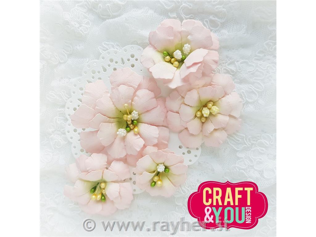 Rezalne šablone, Cosmos Flowers