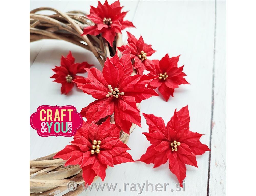 Cutting dies Craft&You