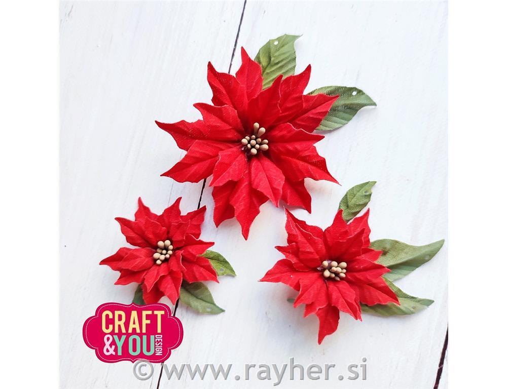 Cutting dies Craft&You