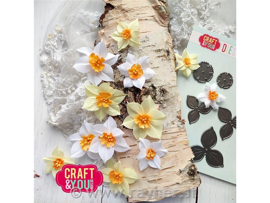 Rezalne šablone C&Y, Narcise