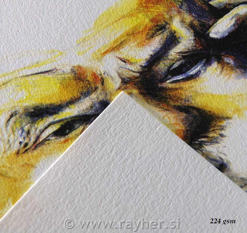 Sketch pad "C" á Grain A4 224 g, 30 shee