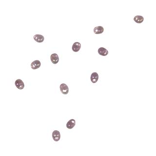 Perle Miyuki, prosojne, ametist, 8g, o 3,4 mm