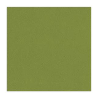Scrap&Sand,strukturni papir platna,avokado zelen,30,5x30,5cm