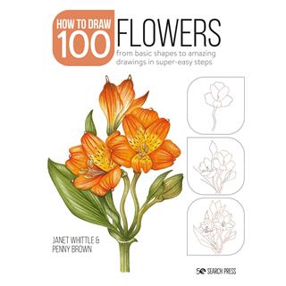Knjiga Draw 100 Flowers
