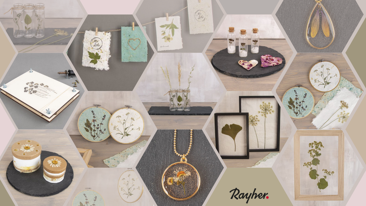 RAYHER hobbyart rayher.si