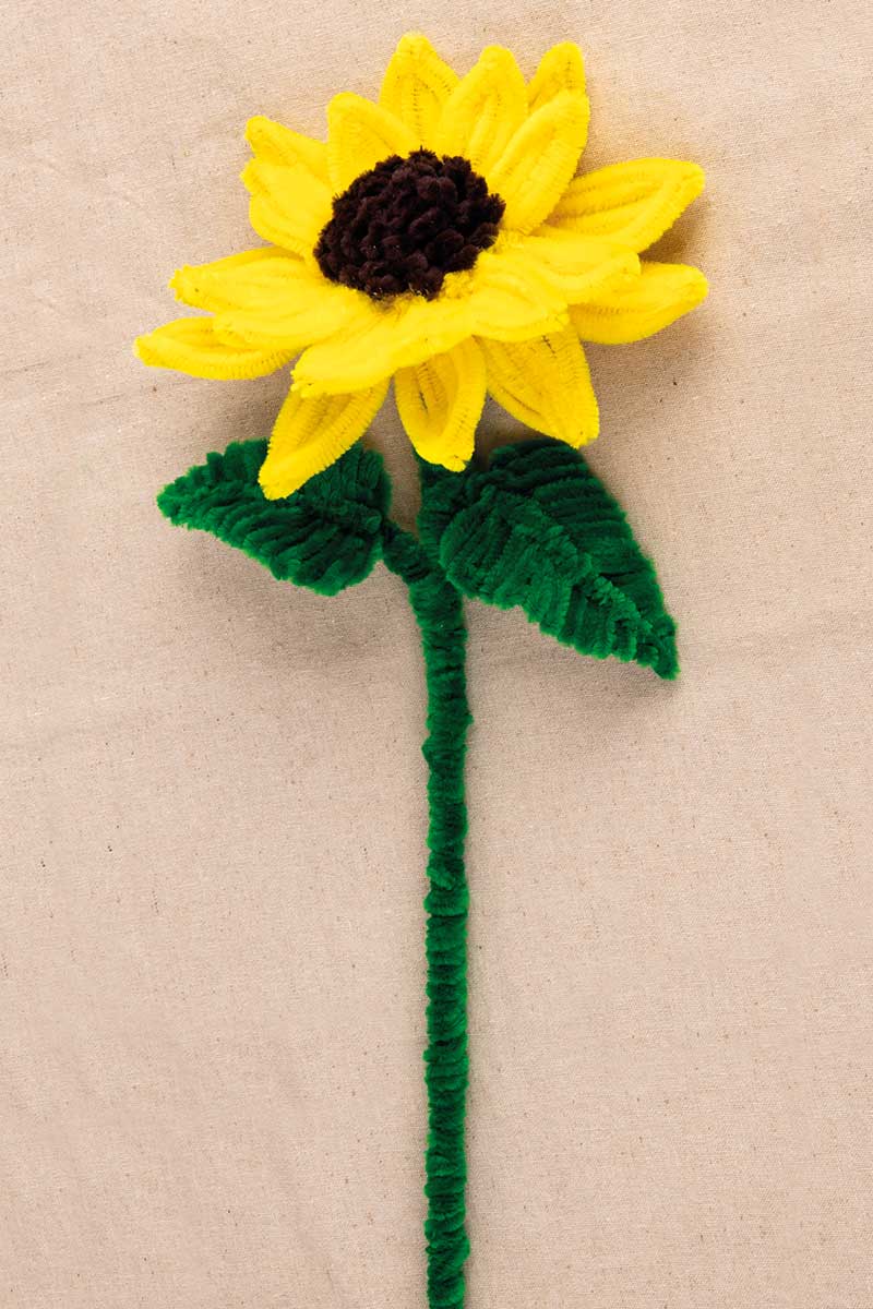 SONČNICA IZ KOSMATE ŽICE